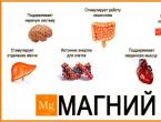 В каких продуктах содержится магний: норма магния в рационе питания