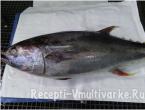 Рецепт приготовления вкусного тунца в мультиварке Тунец на пару в пароварке
